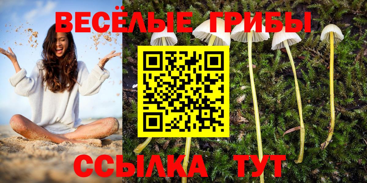 Галлюциногенные грибы прущие грибы Симферополь