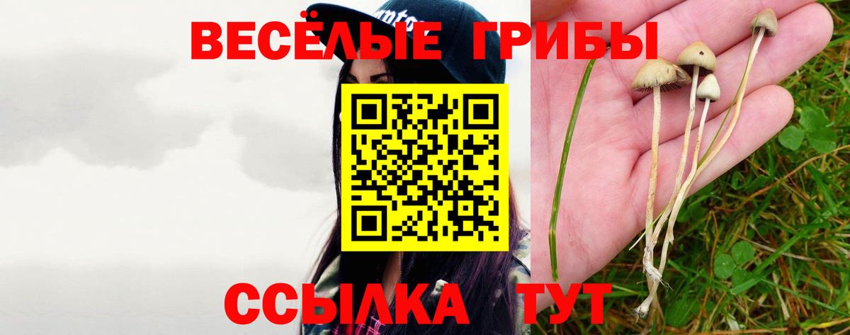 Псилоцибиновые грибы MAGIC MUSHROOMS  Вход с VPN  Галлюциногенные грибы мухоморы  Симферополь 